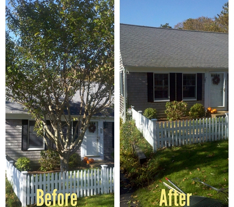 Cape Cod Tree & Landscape Services - South Chatham, MA. Tree Removal