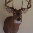 St. Joe Taxidermy - Taxidermists