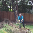 Family Tree Care - Tree Service