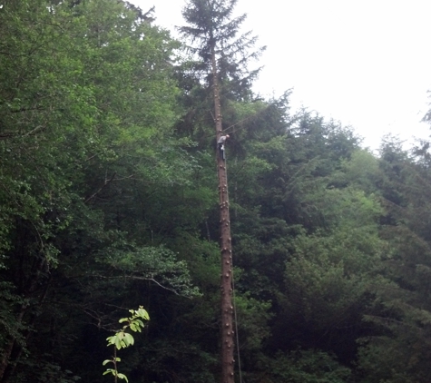 Cutting Edge Tree Service and Solutions - McKinleyville, CA