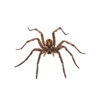 Farmers Pest Control gallery