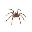 Farmers Pest Control - Pest Control Equipment & Supplies