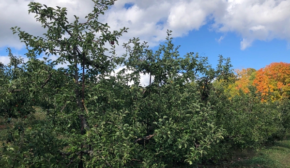 Jenkins & Lueken Orchard - New Paltz, NY