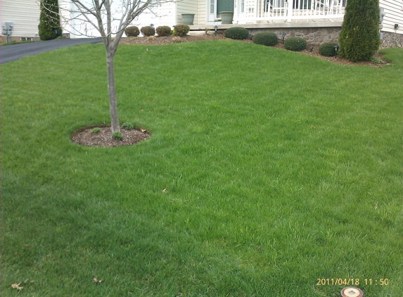 Greenkeeper Lawn, Tree & Shrub Treatment Service - Hagerstown, MD