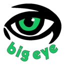 Big Eye - Computer Network Design & Systems
