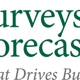 Surveys & Forecasts