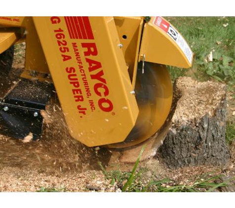 Professional Tree Care Services - Kew, VIC. Stump grinding
