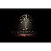 Blackwood Studios gallery
