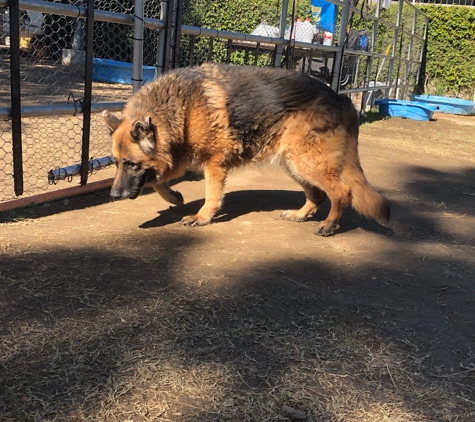 East Valley Animal Shelter - Van Nuys, CA