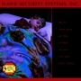 Hawk Security Systems Inc