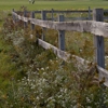 Winged Pheasant Golf Links gallery