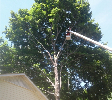 Johnathan Gill Tree Service - Bowling Green, KY. Really big tree that takes the best to do