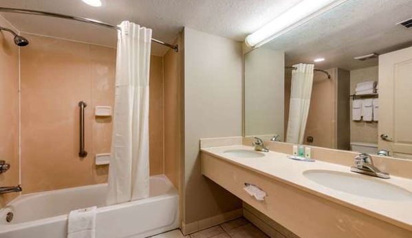 Quality Inn & Suites Tarpon Springs South - Tarpon Springs, FL