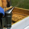 Bear Pest Control gallery