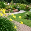 Abys Landscaping & Property Management gallery