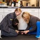 The Pet Doctor - O'Fallon - Veterinarians