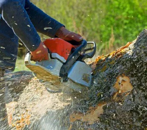 Riverina Tree Services - Leeton, NSW