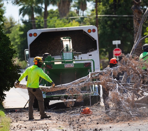 Valley Tree Care