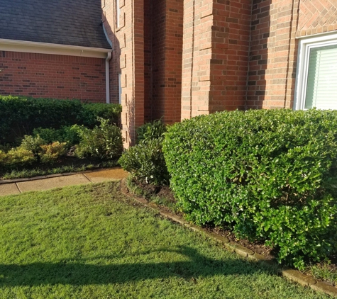 Diamond Lawn Care & Landscape LLC