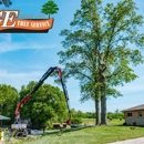 G E Tree Service Inc - Stump Removal & Grinding