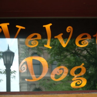 The Velvet Dog - Cleveland, OH