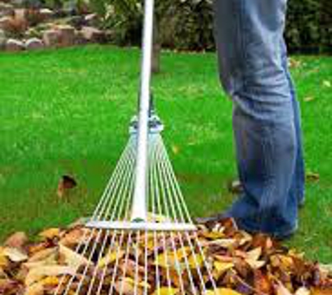 Fed Up Yard Cleaning Inc. - Lake Elsinore, CA