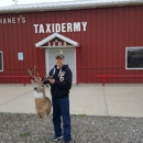 Chaney's Taxidermy - Taxidermists