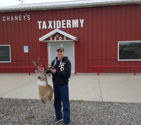 Chaney's Taxidermy - Billings, MT. 1st whitetail
Spot & Stock
Bow
70yrd shot
¼ing chest lung shot