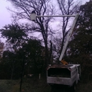 Tree-Mendous Tree Service - Tree Service