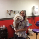 Best Lil Grooming Shop In Texas - Pet Grooming