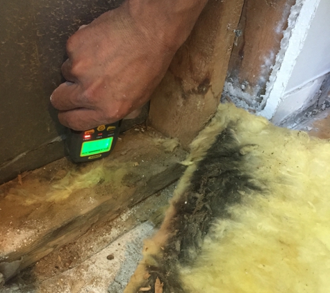 Capital Restoration Management Group LLC - Lanham, MD. Leak Detection
Moisture readings