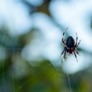 David M Parker Exterminating - Pest Control Equipment & Supplies