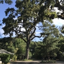 Redwood Coast Tree Care - Tree Service
