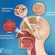 The Pituitary and Skull Base Institute