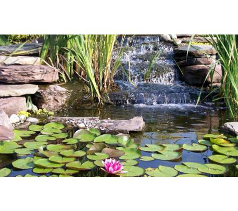 Living Ponds - Welshpool, WA