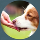 Oak Creek Small Animal Clinic