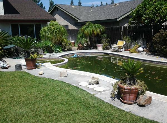 Mikes Pool Service - Fontana, CA