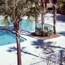 All About Pools And Decks - Swimming Pool Repair & Service
