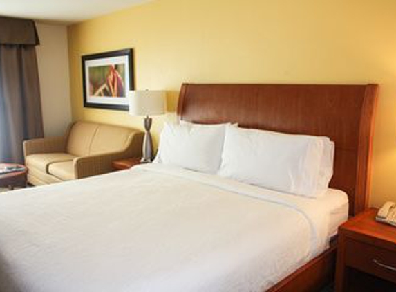 Hilton Garden Inn Houston/Galleria Area - Houston, TX