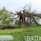 Tree Service Kingsport