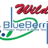 Wild Blueberries gallery