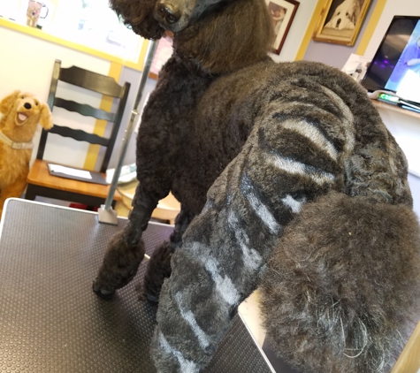 One Dog At A Time All Breed Dog Grooming - Everett, WA