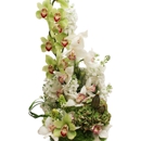 Flowers by Pouparina - Flowers, Plants & Trees-Silk, Dried, Etc.-Retail