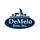 DeMelo Brothers