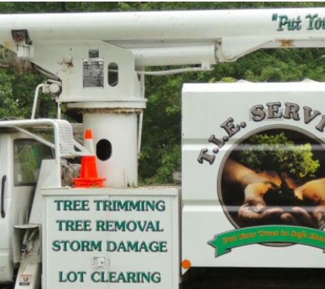 TIE Tree Service - Greenfield, IN