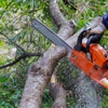 Leo's Tree Service gallery