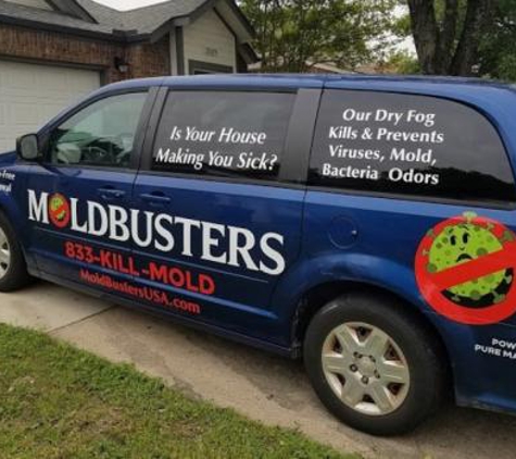 Mold Busters Lewisville - Lewisville, TX