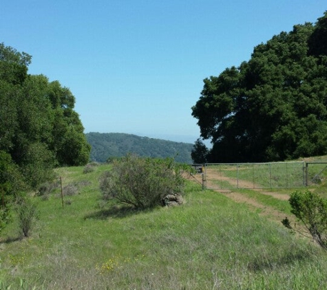 Mount Madonna County Park - Watsonville, CA