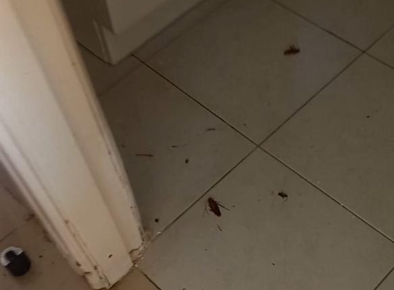 Pest-Proof Pest Control - Chester Hill, NSW