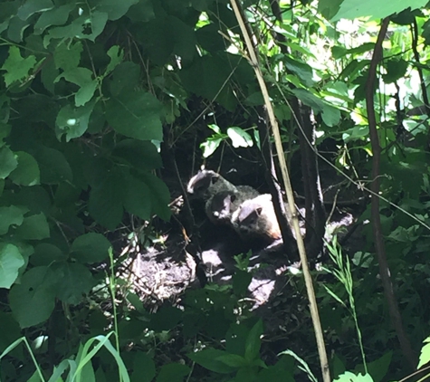 Turtle River State Park - Arvilla, ND